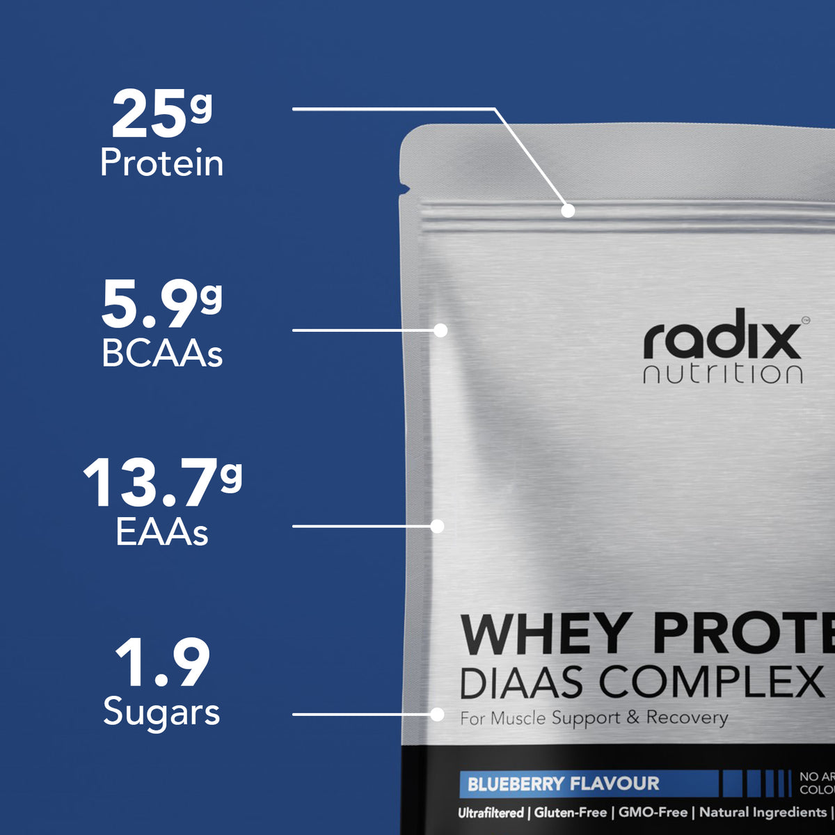 Whey Protein DIAAS Complex 1.61 - Blueberry / Single Serve