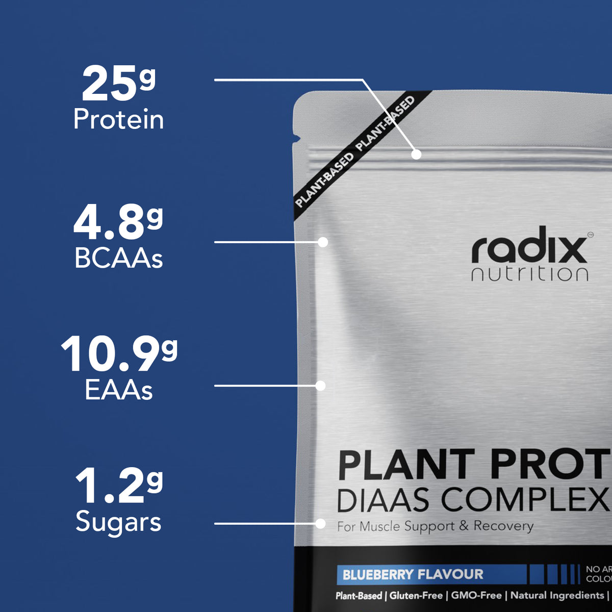 Plant Protein DIAAS Complex 1.30 - Blueberry / Single Serve
