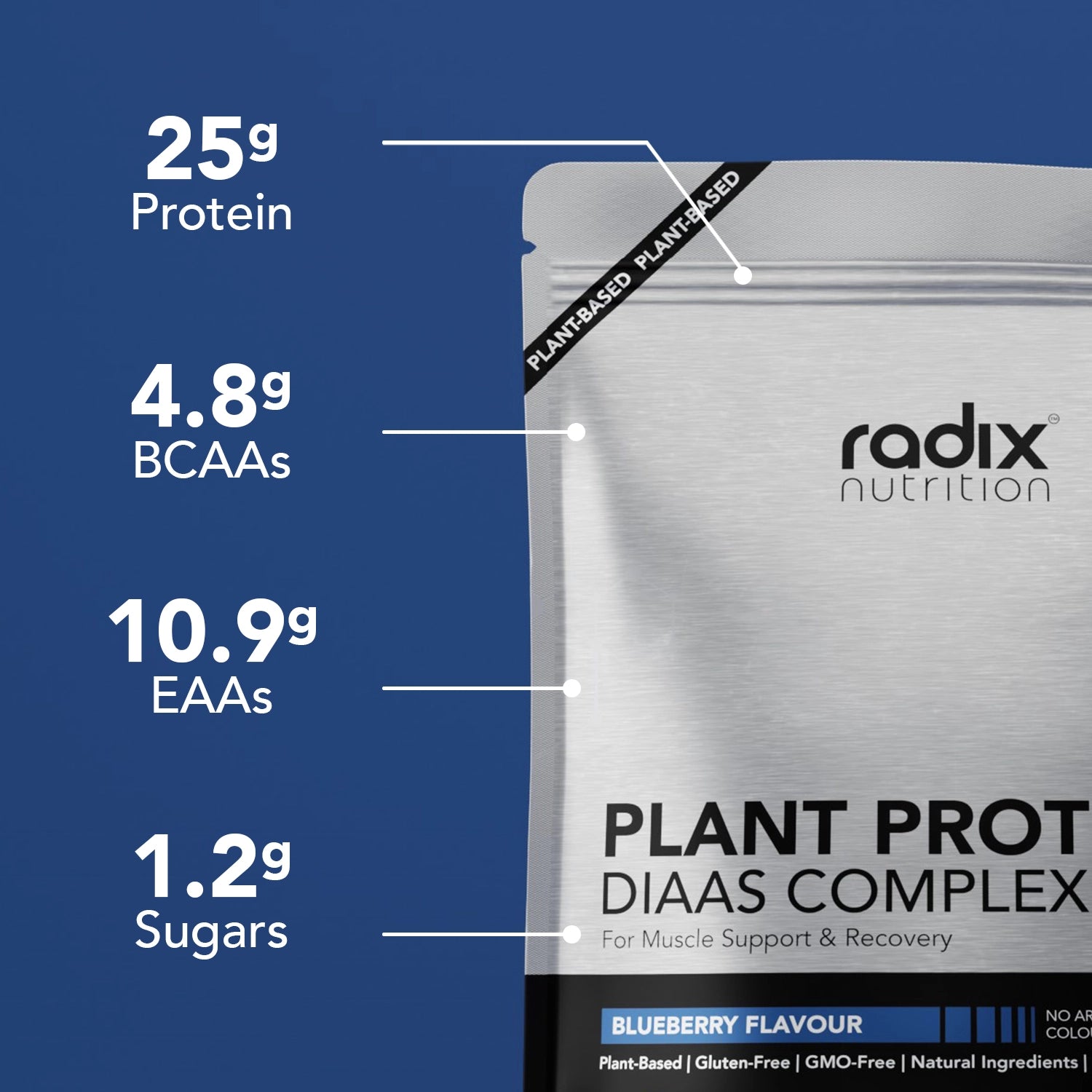 Plant Protein DIAAS Complex 1.30 - Blueberry / 1kg Bag